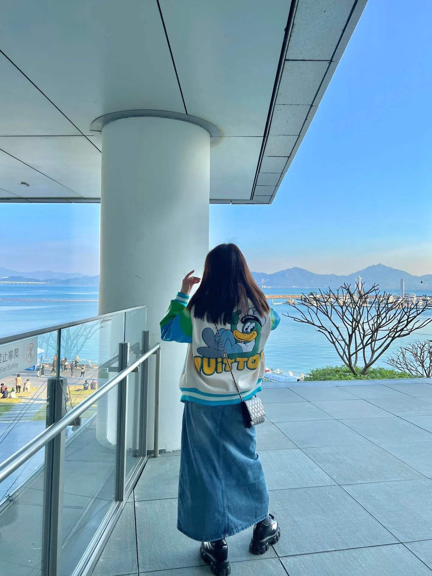 Louis Vuitton/Louis Vuitton duck towel embroidered sleeves old flower embossed baseball jacket